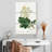 Keiri Oakleaf Hydrangea-108664178