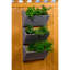 Aakanksha Handmade Wood Wall Planter-735864303