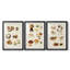 Champignon I - impression encadrée sur mesure de qualité supérieure mate - 3 pièces-719254688-719254690