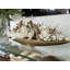 Driftwood and Denver Boat Magnolia Centerpiece-611837024-611819197