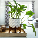 Hollis Handmade Ceramic Pot Planter