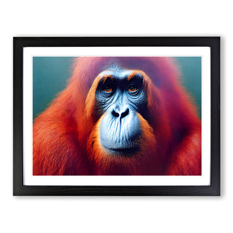 XH1022-8646X Superb Orangutan - Single Picture Frame Print, Black, 25cm H x 34cm W x 2cm D