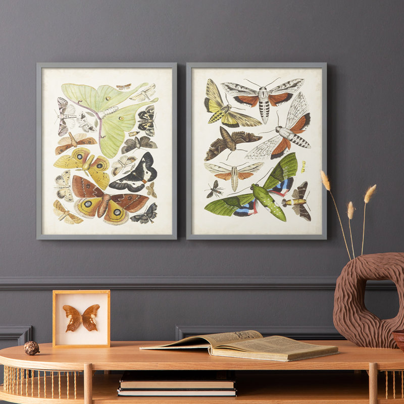 Antique Moths I - impression encadrée de qualité supérieure - prête à être accrochée - aucun clou requis - aucun clou requis