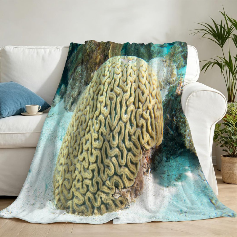Jeté transparent en flanelle de polaire ultra douce, imprimé abstrait recto Brain Coral Sea, Jeté 50 po x 60 po