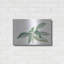 «Sage I» par Chris Paschke-927220566