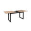 Crone Extendable Dining Table