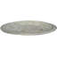 Brass Decorative Tray