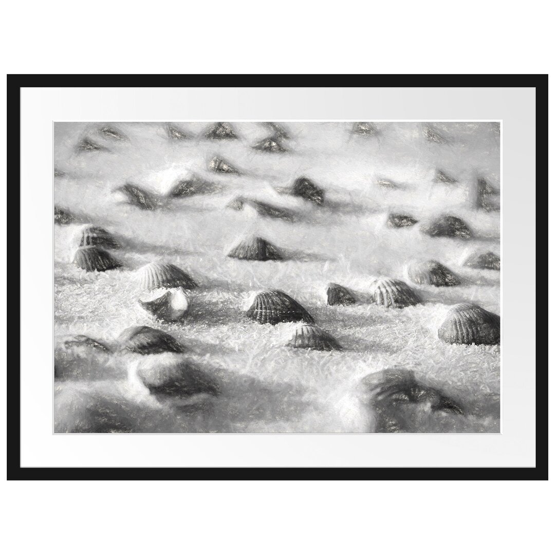 Muscheln im Sand Gerahmter fotografischer Kunstdruck