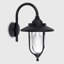 Springvale Black/Transparent Outdoor Wall Lantern