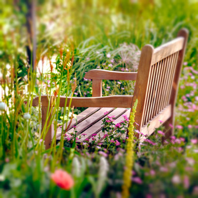 Wooden Bench by Altinosmanaj - Wrapped Canvas Print