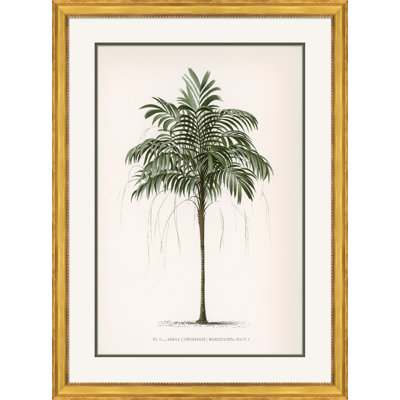 Palms " Palms 4 " by Isabelle De Borchgrave