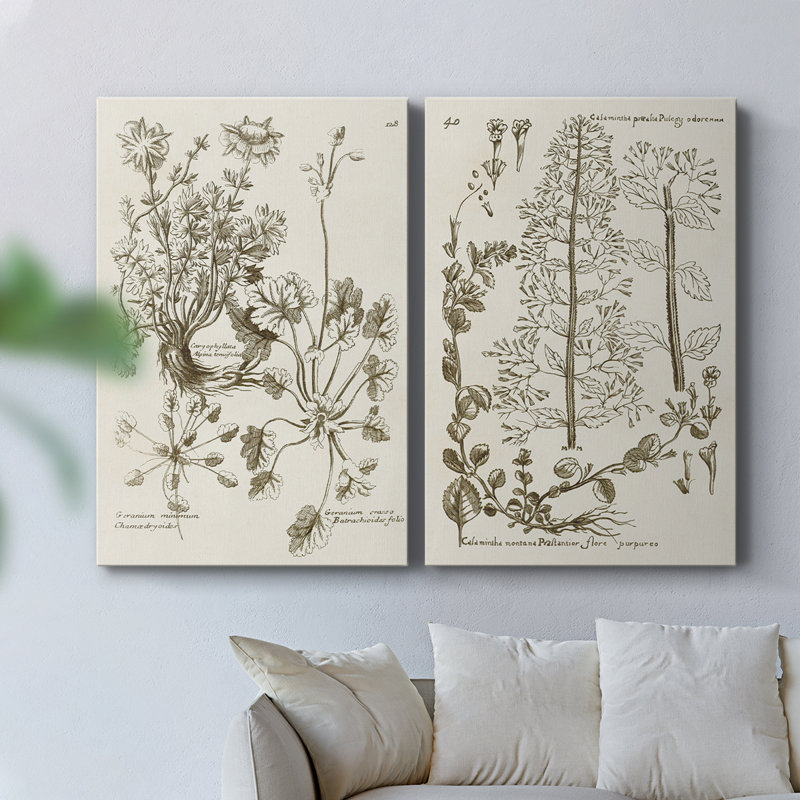 Toile tendue avec châssis sépia Botanical Journal, H 12 po x l 8 po