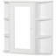 W H Medicine Cabinet Mirror