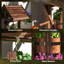 Decoration