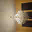 Customer photo 3 of 3