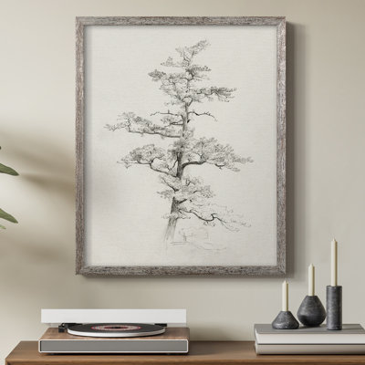 Vintage Sketch XC Framed Print - Solid Wood