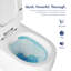 Eridanus Hampton 1.6 Gallons GPF Elongated Wall Mounted Wall Hung Toilets (Seat Included)-101757845