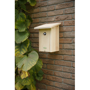 Bird House Robin in Giftbox Fsc 100%
