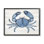 Crabe bleu détaillé granuleux