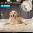 Dog Car Seat Cover, Non-Slip Bench Protector Mat Compatible With Backseat Extenders For Cars, Trucks & Suvs-997851928