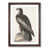 Walnut Framed selected