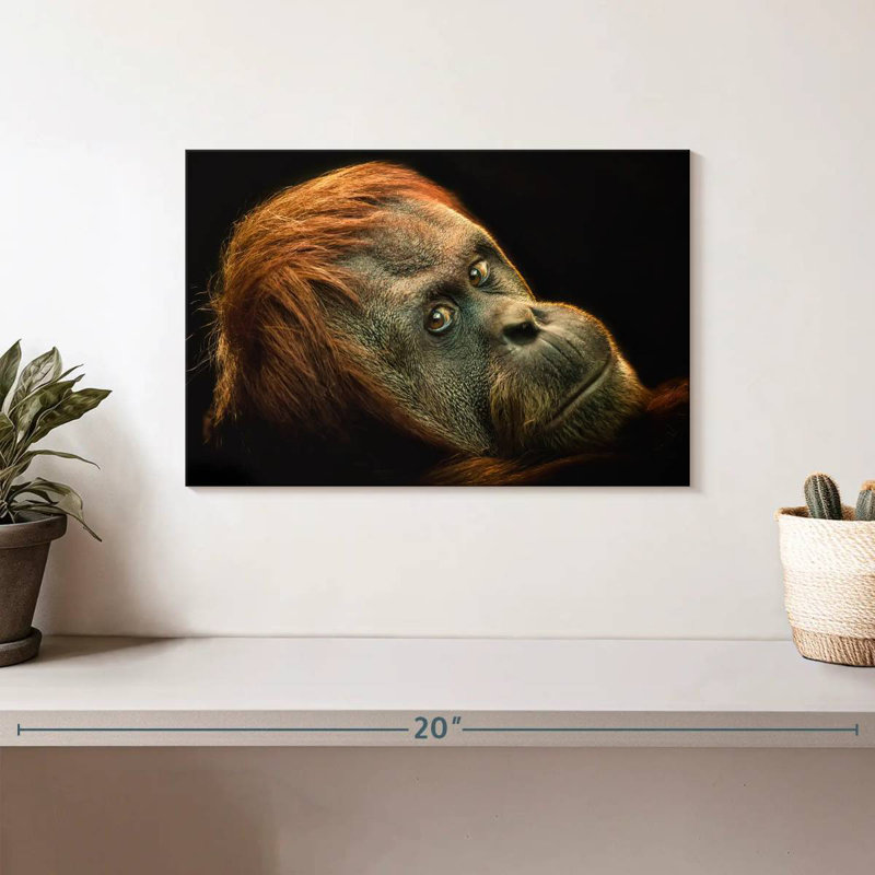 Brampt Dramatic Orangutan, 8" H x 12" W