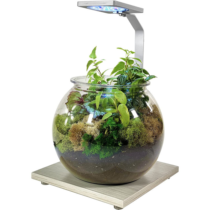 Eco-grow Plant LED Light and Stand 