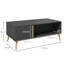Peters Coffee Table with Storage
