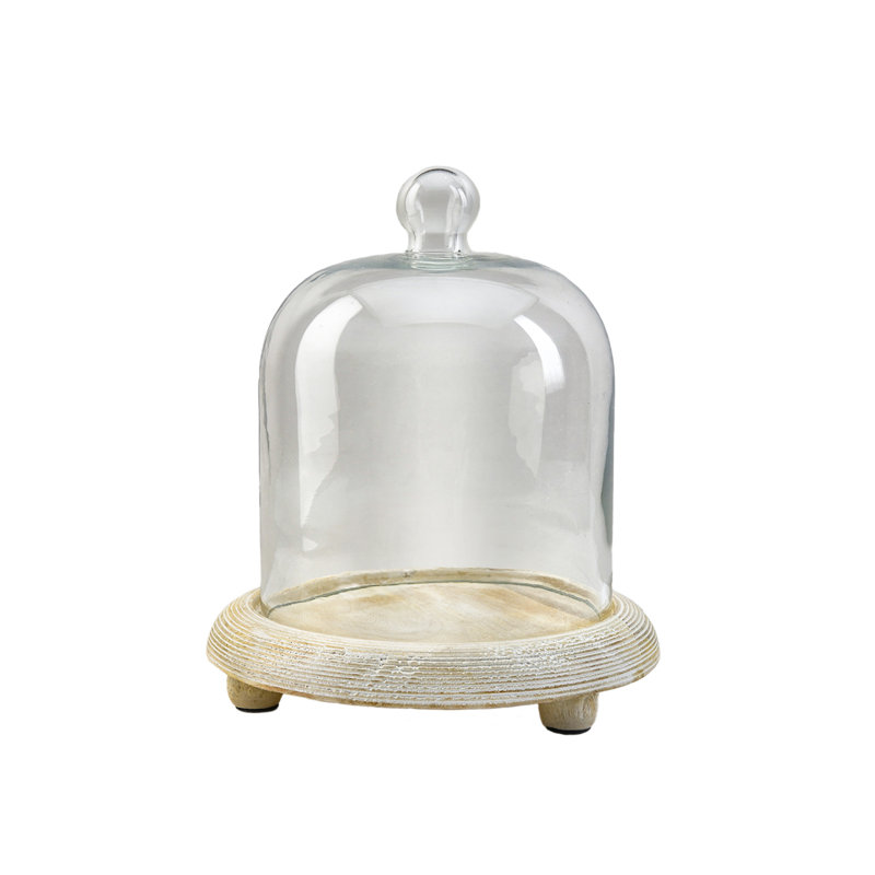 Terrarium d'intérieur, H 9,25 po x l 8 po x P 8 po