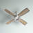 52'' Ceiling Fan with LED Lights-844353823
