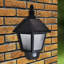 Teena Black 60cm H Battery Powered Integrated LED Outdoor Wall Lantern