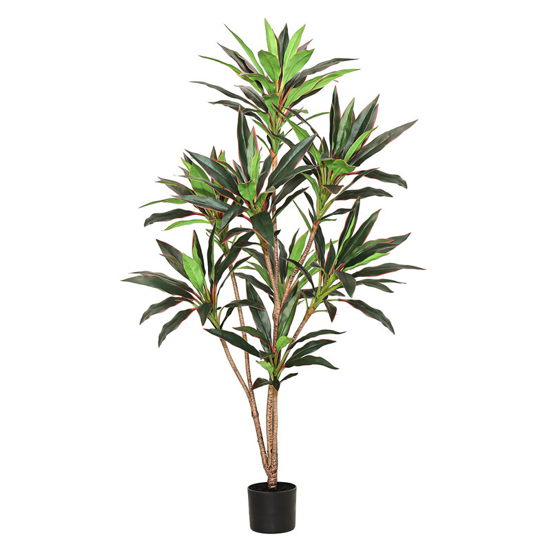 60 "Real Touch Dracaena plante en pot noir