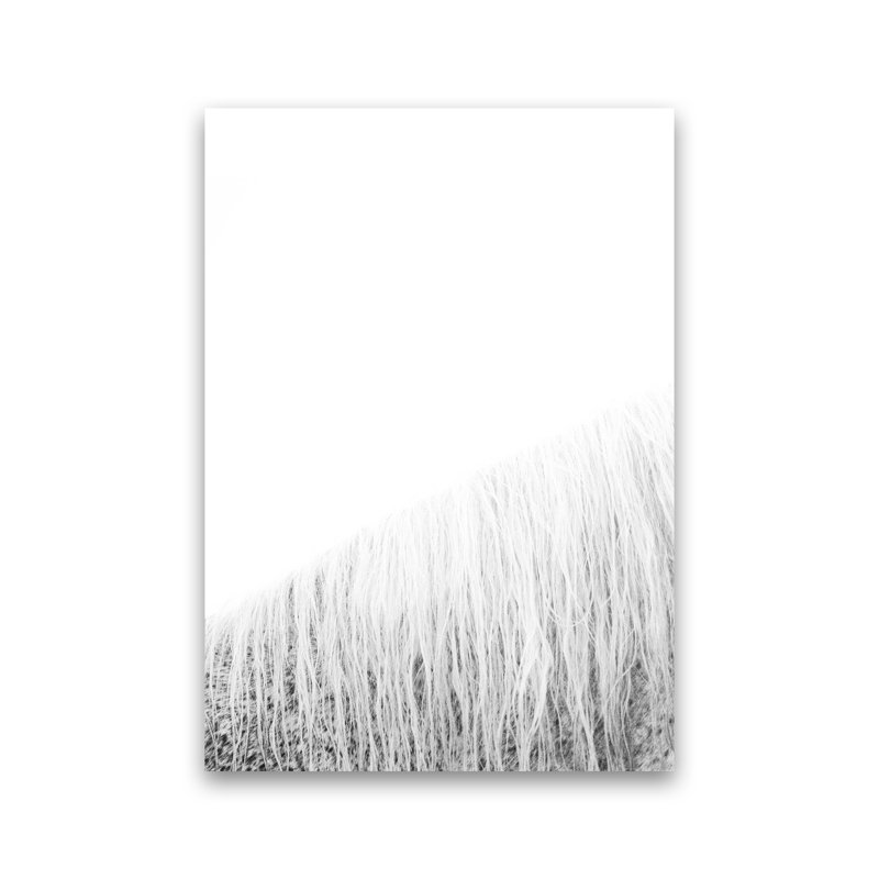 White Horse I by Victoria Frost - Print, Unframed, 42cm H x 30cm W x 1cm D