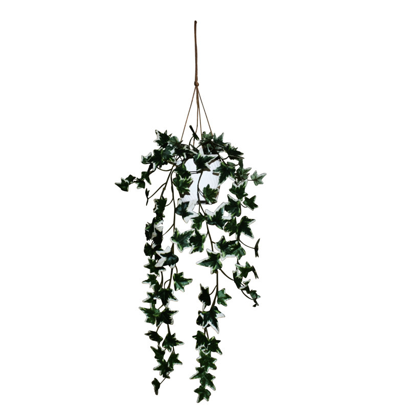 Plante vivante en pot 26 po