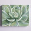 Art mural sur toile-1364149450-1364149451
