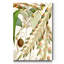 Reproduction d’art sur toile tendue « tropical Variety I »-18017537