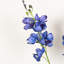 Arrangement floral orchidée artificielle 22 po dans un vase en verre-749332119