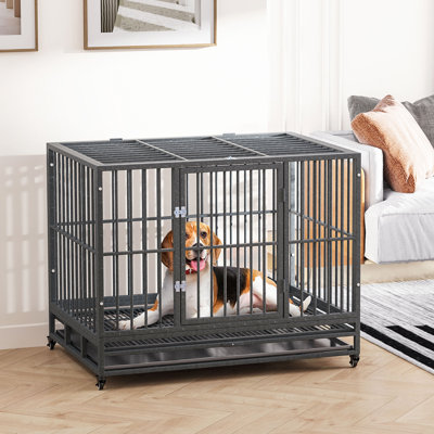 Chenil en cage 43 po en métal robuste avec roues verrouillables
