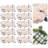 10 Table Flowers Suitable For Weddings, Birthdays, And Parties-97843644