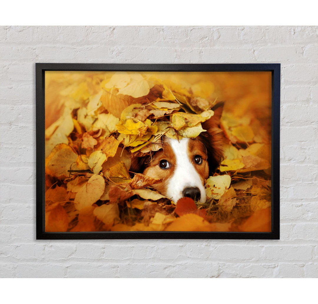 Hund im Herbstlaub - Einzelner Bilderrahmen Kunstdrucke auf Leinwand