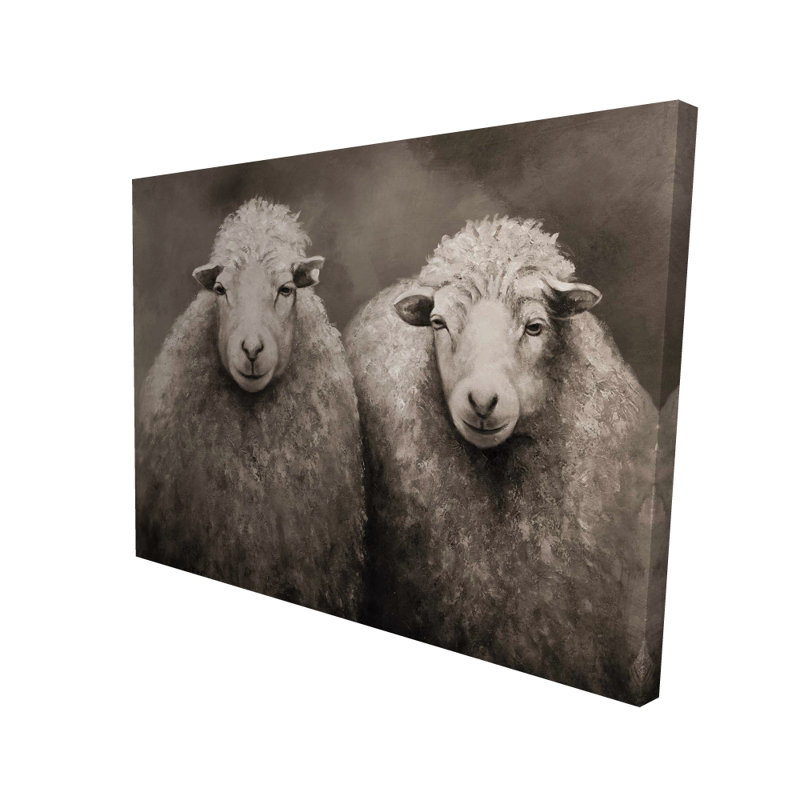 Sheep sépia