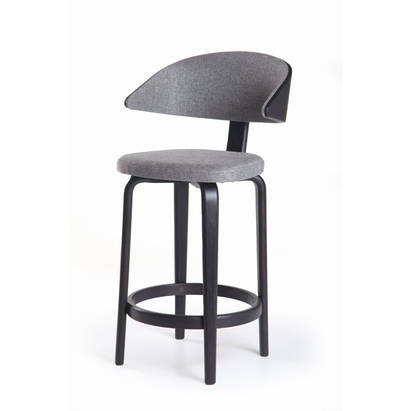 Fila Upholstered 26'' Counter Stool with Solid Wood Frame, Transparent Black