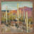 High Desert I Tall Cacti By Julia Purinton-291781655
