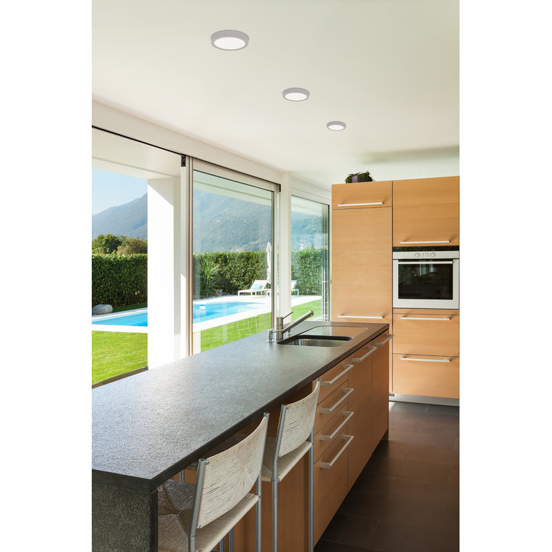 Deverick Acrylic LED Flush Mount, Silver