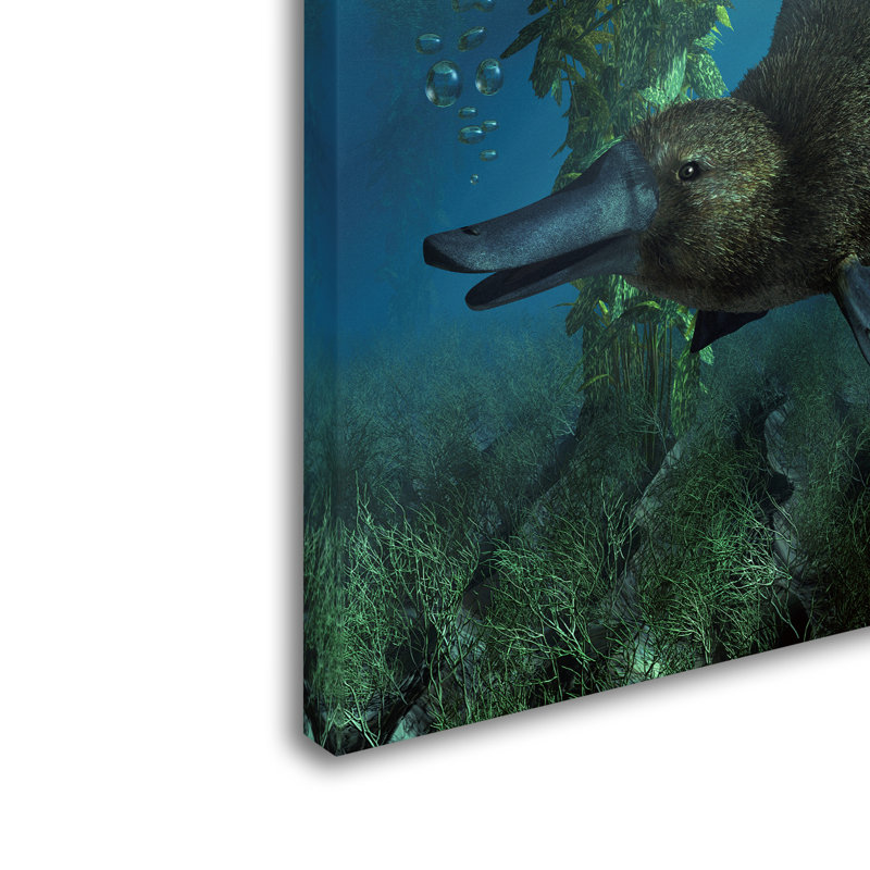 Platypus Underwater 24 x 32 Gallery-Wrapped Canvas Art