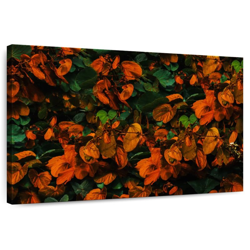 Harnek, feuilles d'automne vibrantes, H 30 po x l 45 po