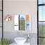 Myrick 2-Shelf Medicine Cabinet With Mirror White-118088624