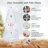 Fiber Optic Christmas Tree-302940612