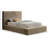 Dexter Corduroy Fabric Bed-108676166-108676165