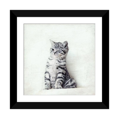 Art sur toile clin d’œil chat